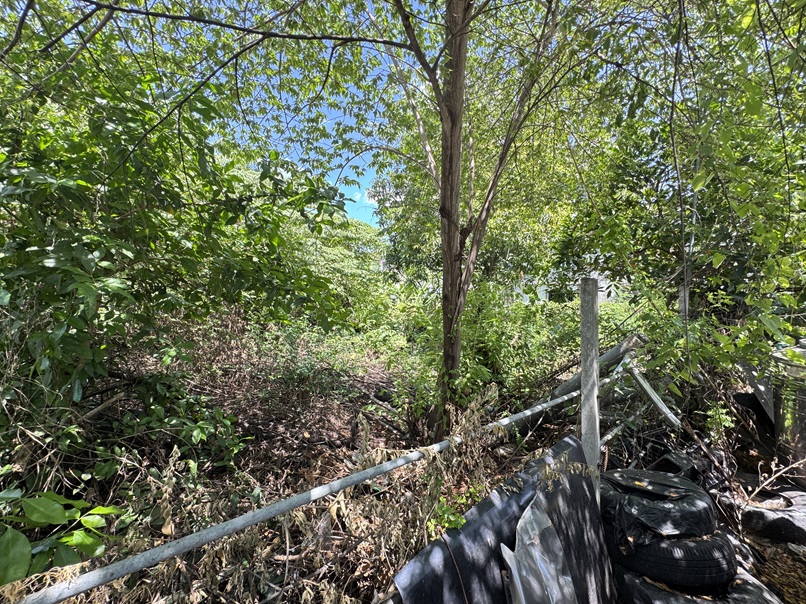 ที่ดินเปล่า กรุงเทพมหานคร ห้วยขวาง ห้วยขวาง 20900000