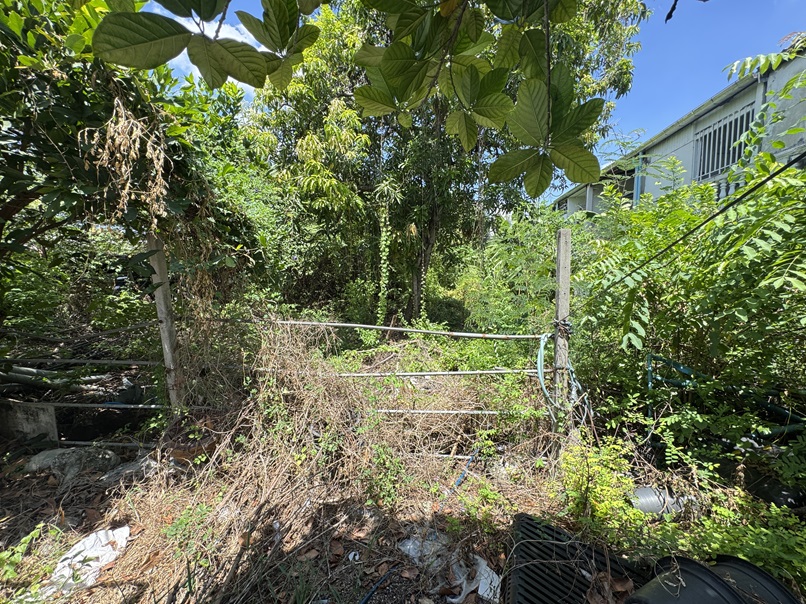 ที่ดินเปล่า กรุงเทพมหานคร ห้วยขวาง ห้วยขวาง 20900000