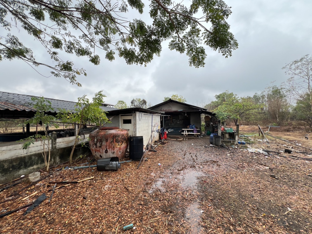 Misc. Nong Khai Mueang Nong Khai Phrathat Bang Phuan 2250000