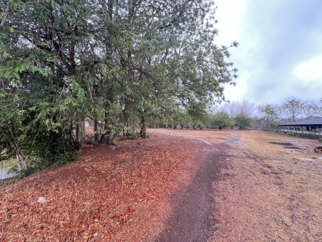 Misc. Nong Khai Mueang Nong Khai Phrathat Bang Phuan 2250000