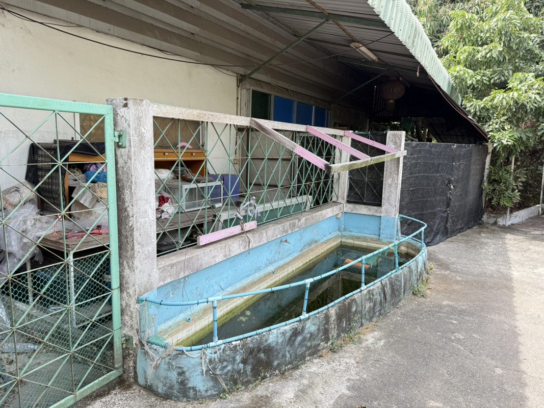 อาคารพาณิชย์ ชลบุรี ศรีราชา บ่อวิน 7500000