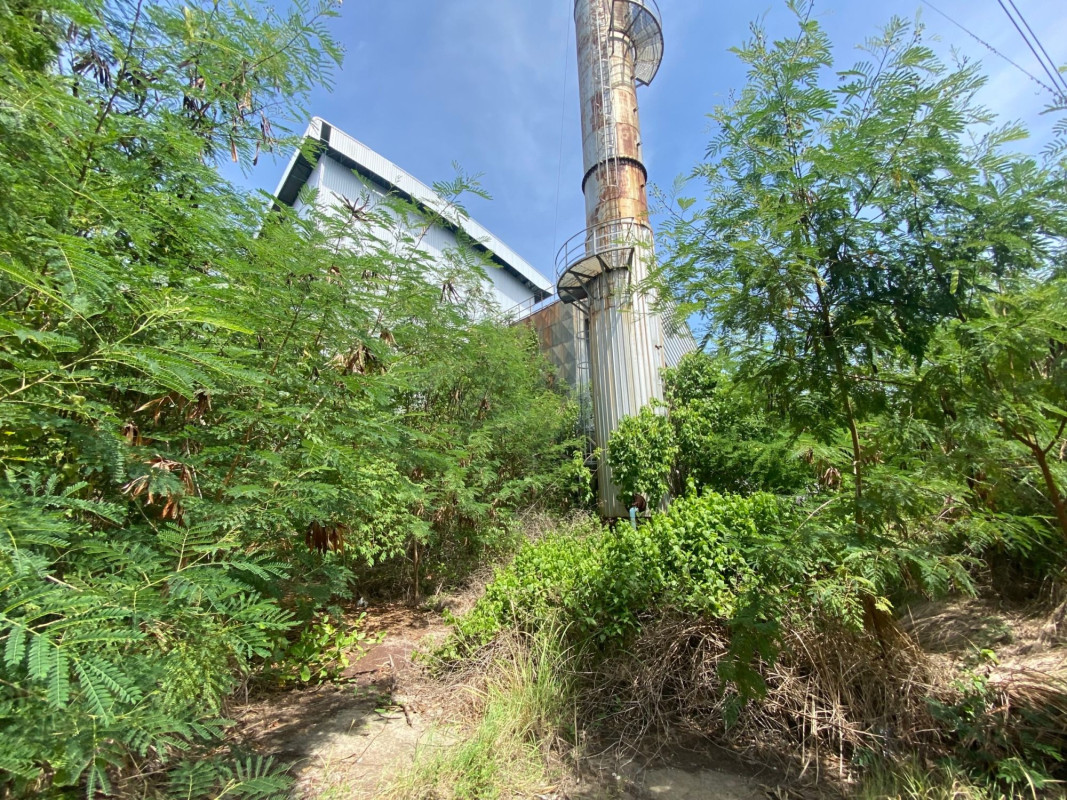 อื่นๆ บุรีรัมย์ ประโคนชัย โคกมะขาม 104963000