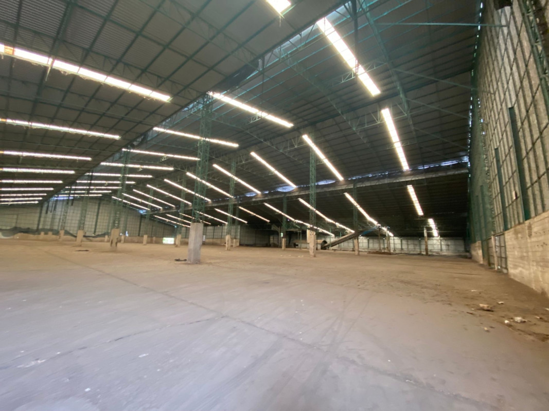 อื่นๆ บุรีรัมย์ ประโคนชัย โคกมะขาม 104963000