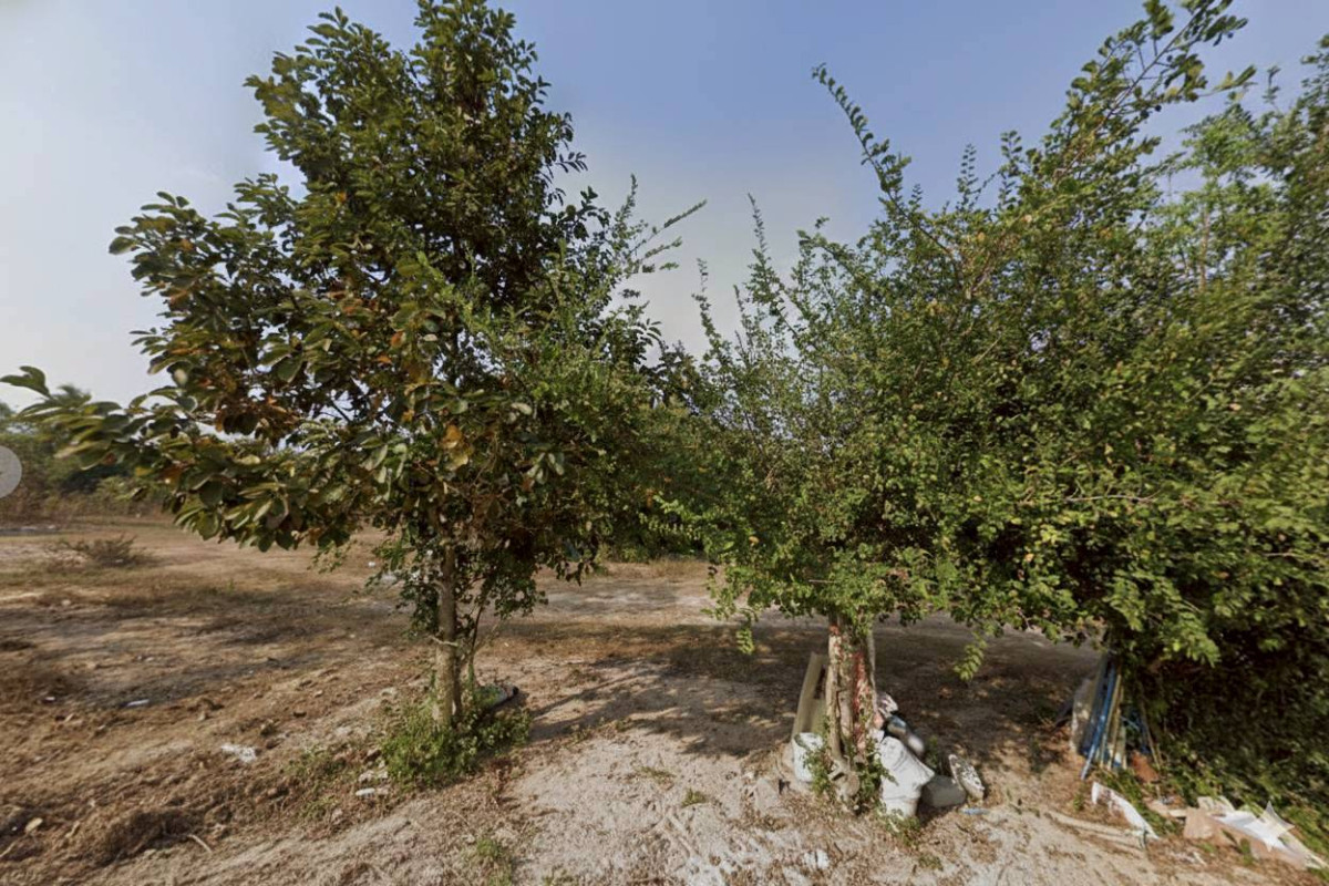 Residential land/lot Chon Buri Bang Lamung Takhian Tia 550000