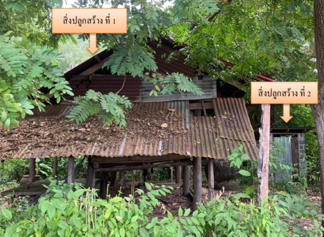 บ้านเดี่ยว อำนาจเจริญ เมืองอำนาจเจริญ นาแต้ 153500