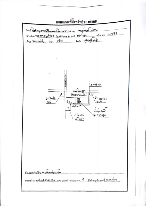 ทาวน์เฮ้าส์ สุราษฎร์ธานี เมืองสุราษฎร์ธานี มะขามเตี้ย 2245500