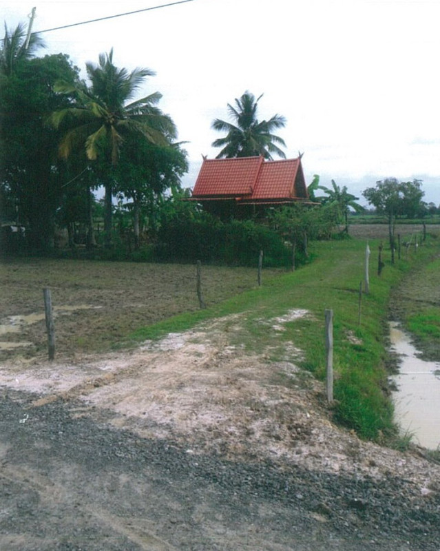 บ้านเดี่ยว บุรีรัมย์ ประโคนชัย บ้านไทร 1426540