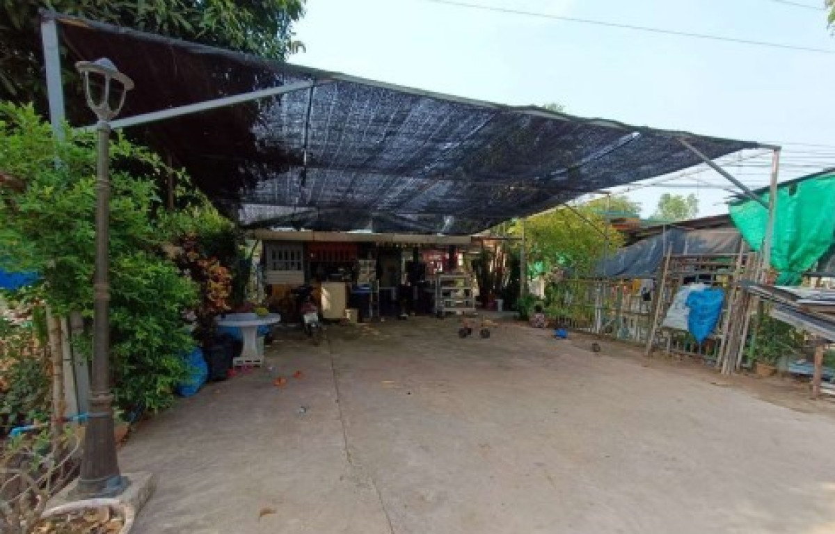 บ้านเดี่ยว พิษณุโลก วังทอง พันชาลี 448920