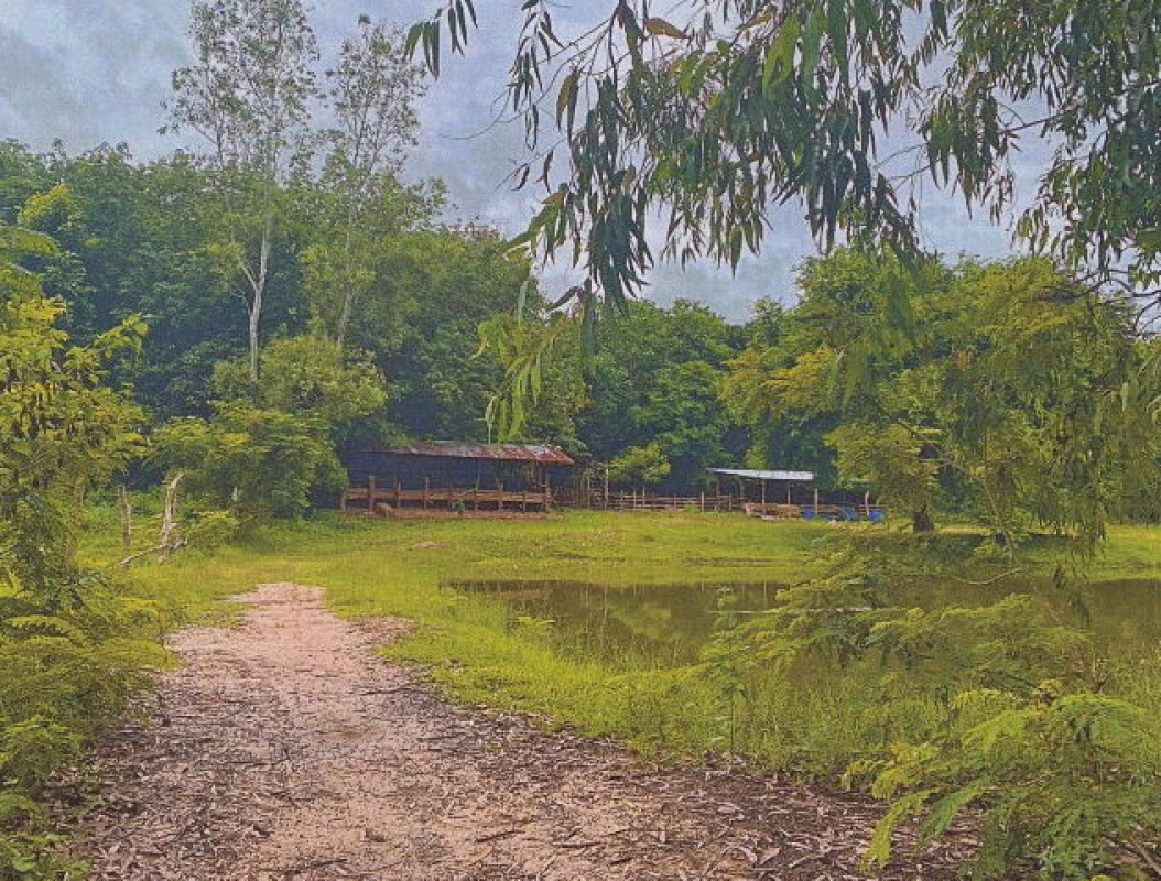 บ้านเดี่ยว มุกดาหาร คำชะอี บ้านซ่ง 142100