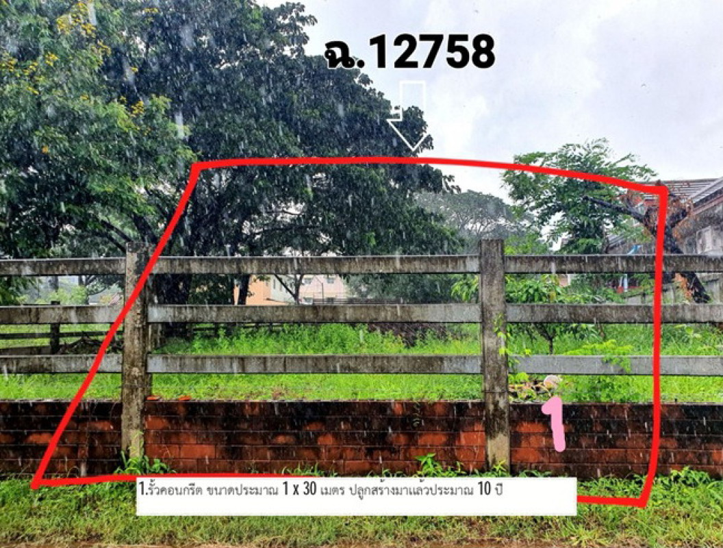 บ้านเดี่ยว สกลนคร เมืองสกลนคร ธาตุเชิงชุม 446750