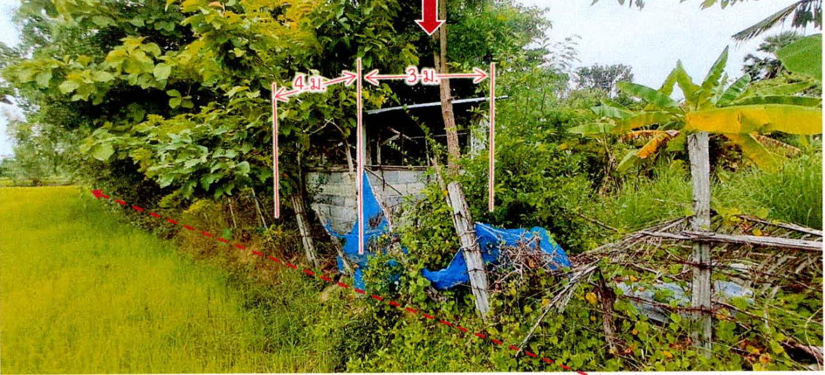 บ้านเดี่ยว สุรินทร์ ลำดวน โชคเหนือ 103120