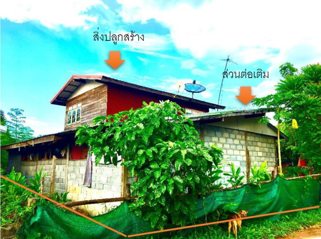 ทาวน์เฮ้าส์ อุดรธานี เพ็ญ นาบัว 781560