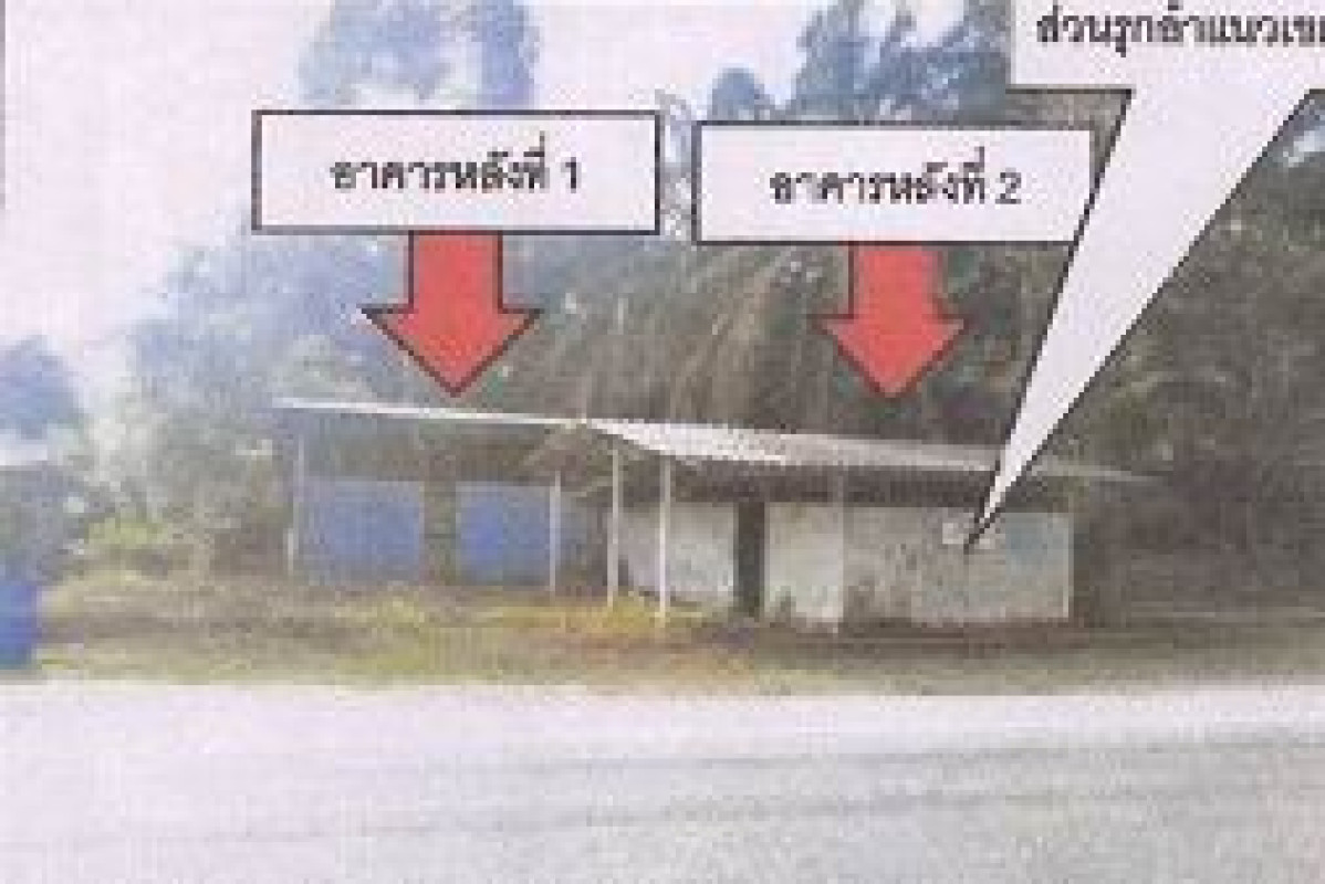 บ้านเดี่ยว ตรัง ห้วยยอด ท่างิ้ว 679050