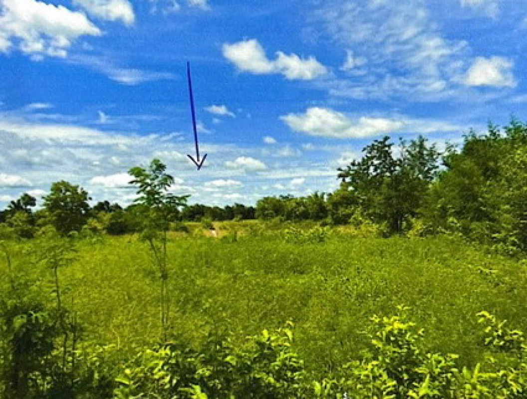 ที่ดินเปล่า นครราชสีมา พระทองคำ พังเทียม 311940