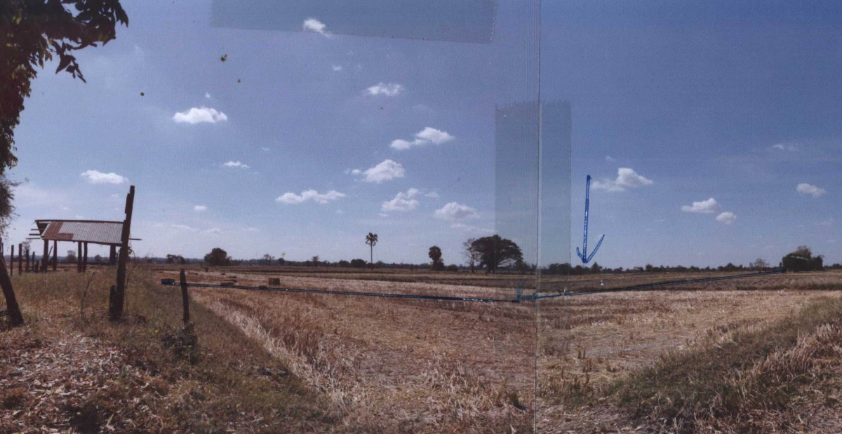 ที่ดินเปล่า ยโสธร ป่าติ้ว กระจาย 390880