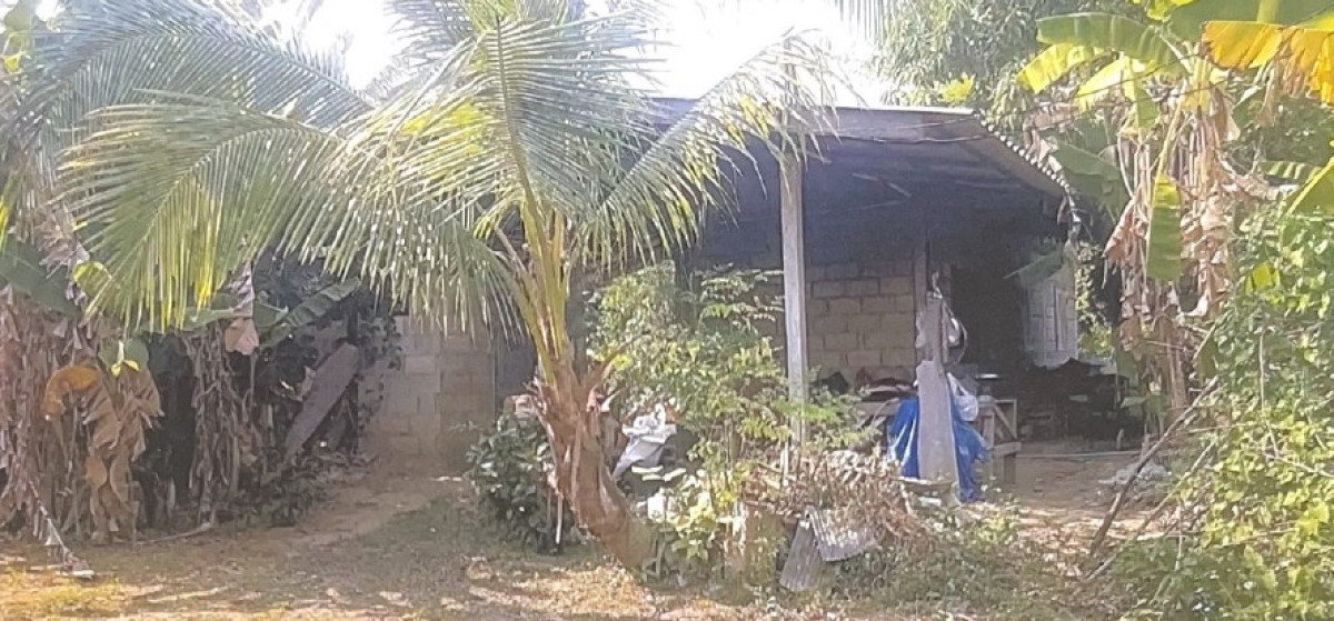 บ้านเดี่ยว เชียงใหม่ หางดง หนองตอง 541040