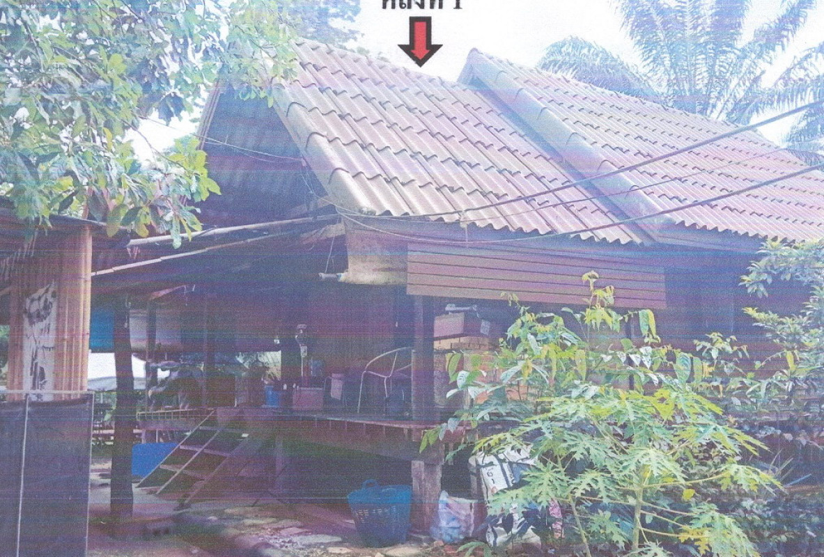 บ้านเดี่ยว นครศรีธรรมราช ร่อนพิบูลย์ ควนพัง 951400