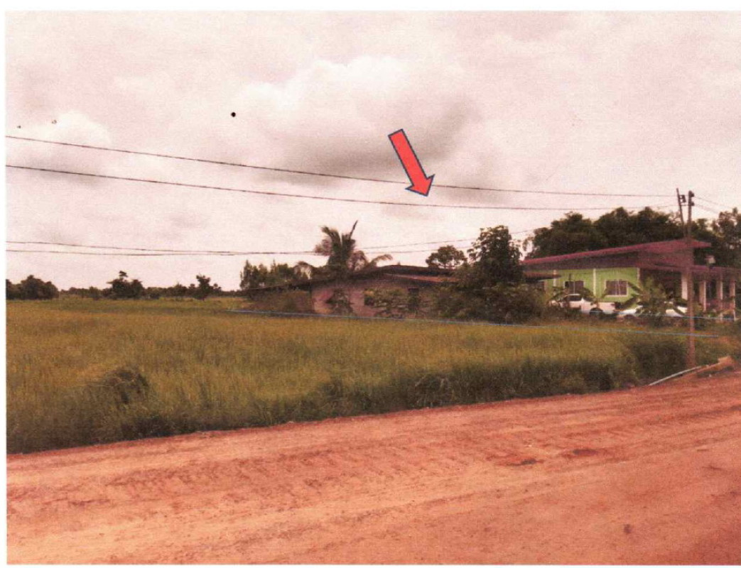 บ้านเดี่ยว อำนาจเจริญ ปทุมราชวงศา ห้วย 650060