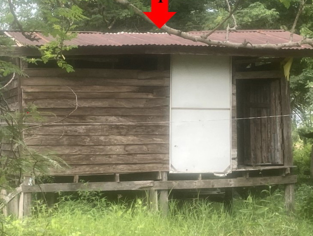 บ้านเดี่ยว พิจิตร โพธิ์ประทับช้าง ดงเสือเหลือง 142200