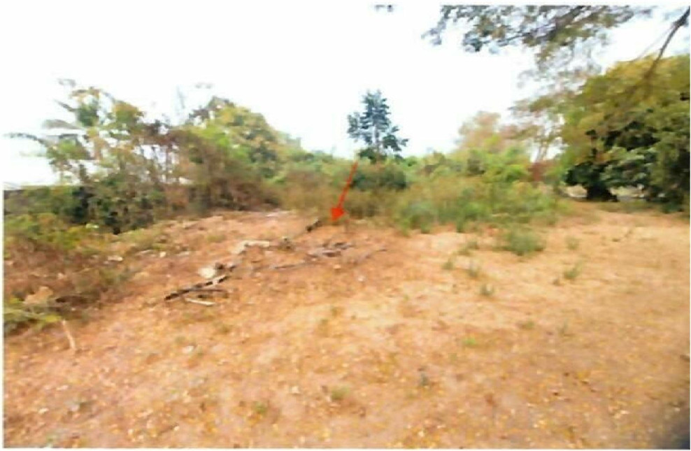 ที่ดินเปล่า กำแพงเพชร ลานกระบือ ลานกระบือ 0