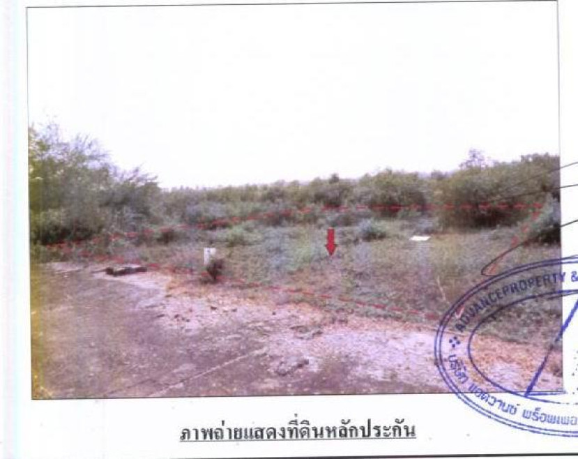 ที่ดินเปล่า คุ้มทอง 1 ประจวบคีรีขันธ์ ปราณบุรี ปราณบุรี 180000